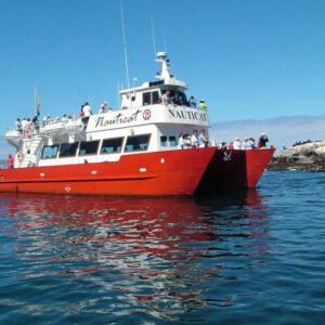 Boat rental in Cape Town · Nauticat — 21.3 (2000)