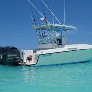 Boat rental in Road Town · Contender — 2010